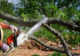 Soil Testing and Treatment in Midway, AR